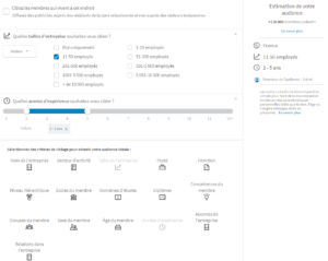 audience ciblage linkedin business